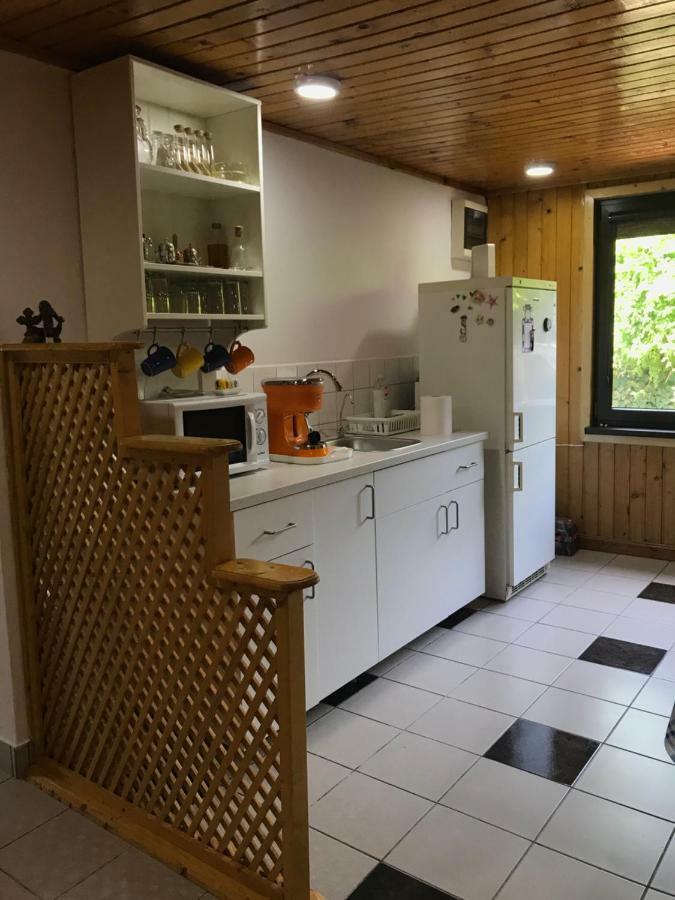 Green Villa Costinesti Bagian luar foto